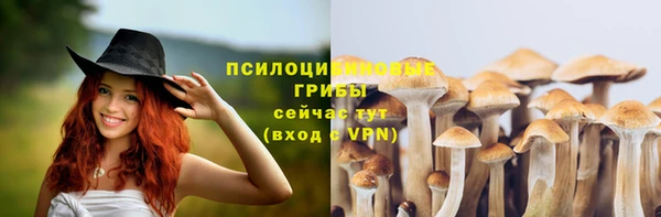 круглые Вязьма