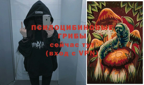 круглые Вязьма