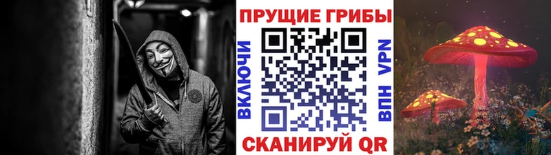 Псилоцибиновые грибы Magic Shrooms  Бийск 